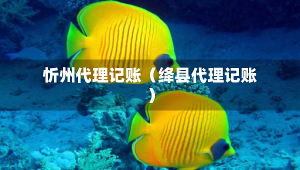 忻州代理記賬（絳縣代理記賬）