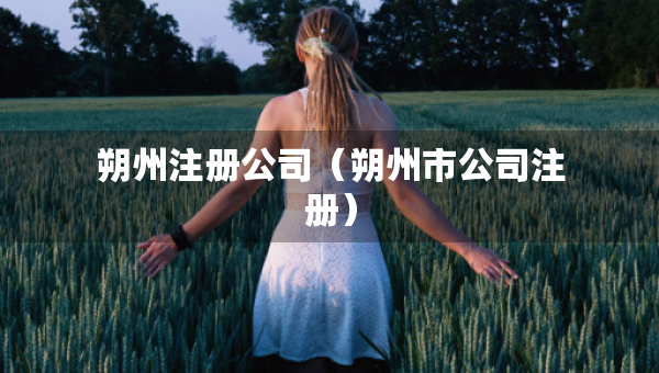 朔州注冊公司（朔州市公司注冊）