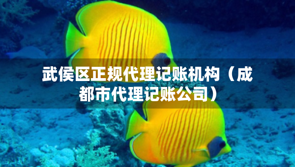 武侯區(qū)正規(guī)代理記賬機(jī)構(gòu)（成都市代理記賬公司）