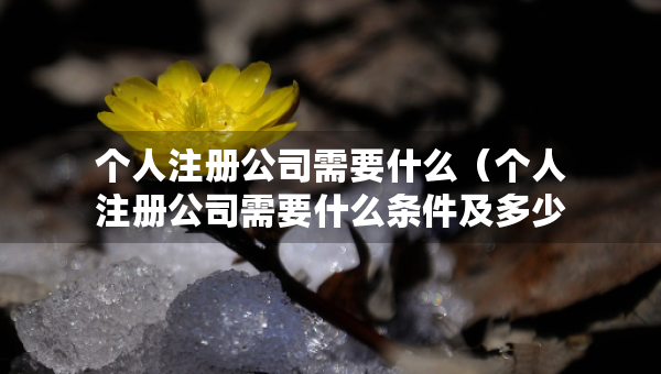 個(gè)人注冊(cè)公司需要什么（個(gè)人注冊(cè)公司需要什么條件及多少費(fèi)用）