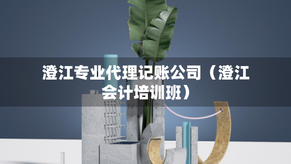 澄江專(zhuān)業(yè)代理記賬公司（澄江會(huì)計(jì)培訓(xùn)班）