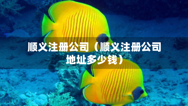 順義注冊(cè)公司（順義注冊(cè)公司地址多少錢）