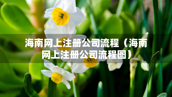 海南網(wǎng)上注冊公司流程（海南網(wǎng)上注冊公司流程圖）