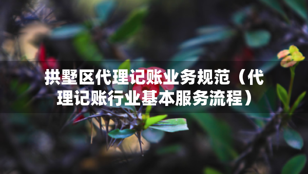 拱墅區(qū)代理記賬業(yè)務(wù)規(guī)范（代理記賬行業(yè)基本服務(wù)流程）