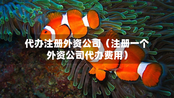 代辦注冊(cè)外資公司（注冊(cè)一個(gè)外資公司代辦費(fèi)用）