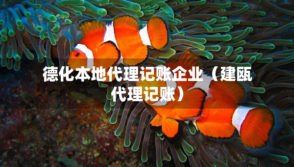 德化本地代理記賬企業(yè)（建甌代理記賬）