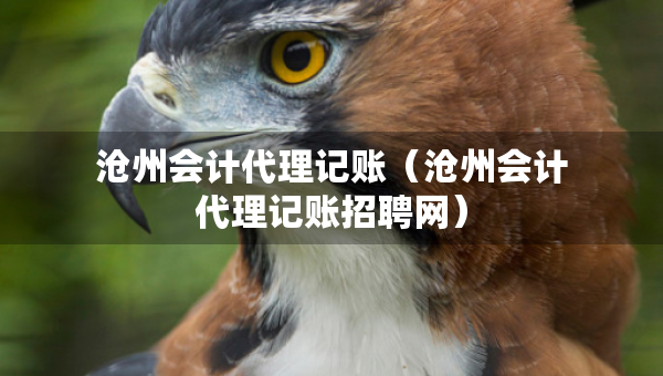 滄州會計代理記賬（滄州會計代理記賬招聘網）