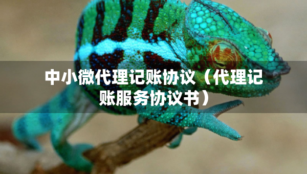 中小微代理記賬協(xié)議（代理記賬服務(wù)協(xié)議書）