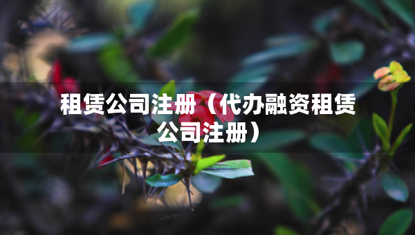 租賃公司注冊（代辦融資租賃公司注冊）