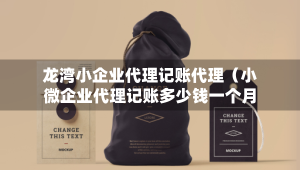 龍灣小企業(yè)代理記賬代理（小微企業(yè)代理記賬多少錢一個(gè)月）
