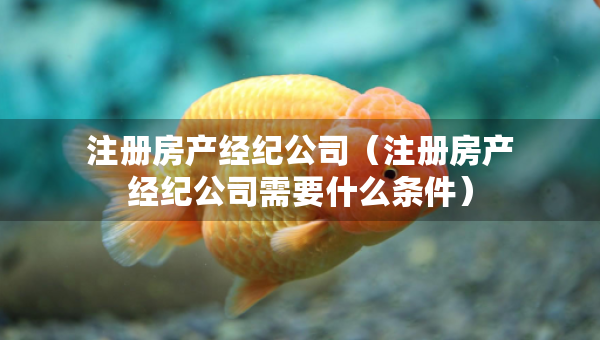 注冊房產(chǎn)經(jīng)紀公司（注冊房產(chǎn)經(jīng)紀公司需要什么條件）
