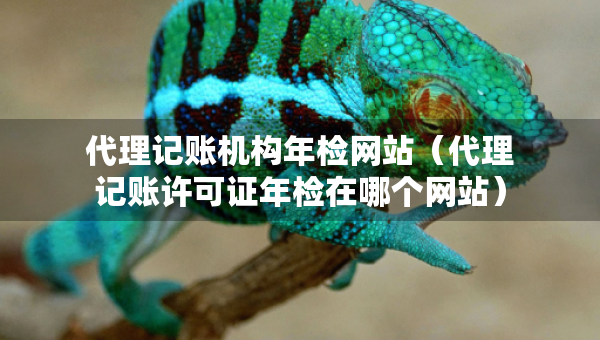 代理記賬機(jī)構(gòu)年檢網(wǎng)站（代理記賬許可證年檢在哪個(gè)網(wǎng)站）