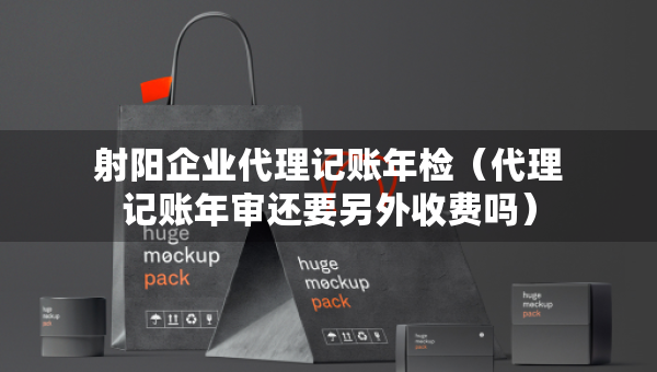 射陽企業(yè)代理記賬年檢（代理記賬年審還要另外收費(fèi)嗎）