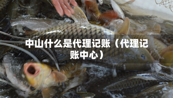 中山什么是代理記賬（代理記賬中心）