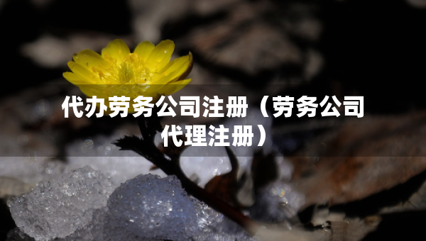 代辦勞務(wù)公司注冊（勞務(wù)公司代理注冊）