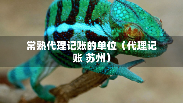 常熟代理記賬的單位（代理記賬 蘇州）