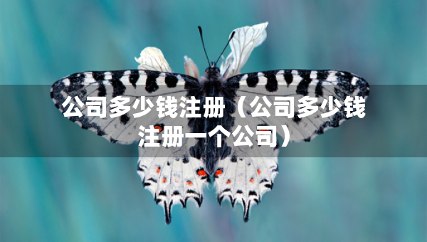 公司多少錢(qián)注冊(cè)（公司多少錢(qián)注冊(cè)一個(gè)公司）