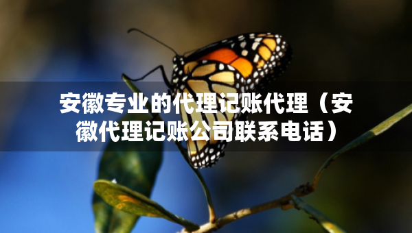 安徽專業(yè)的代理記賬代理（安徽代理記賬公司聯(lián)系電話）