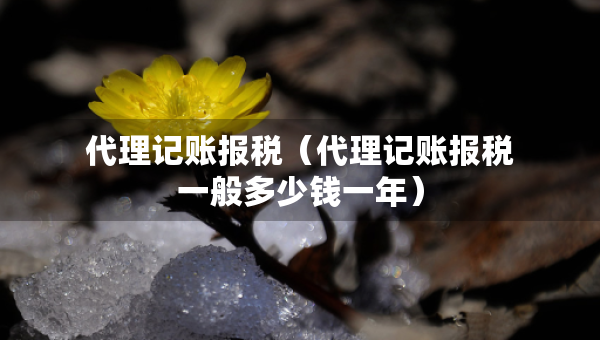 代理記賬報(bào)稅（代理記賬報(bào)稅一般多少錢(qián)一年）