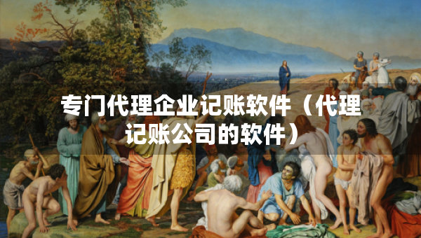 專門代理企業(yè)記賬軟件（代理記賬公司的軟件）