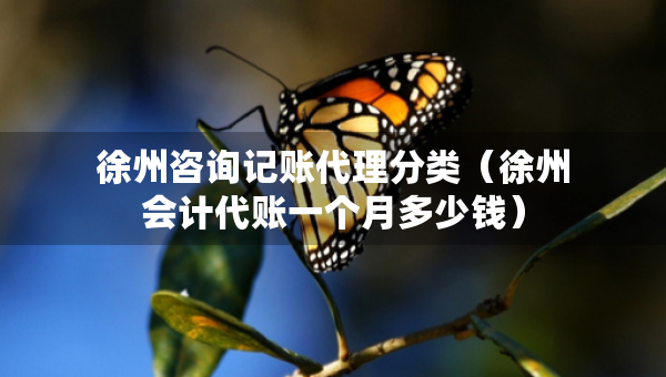 徐州咨詢記賬代理分類（徐州會(huì)計(jì)代賬一個(gè)月多少錢）