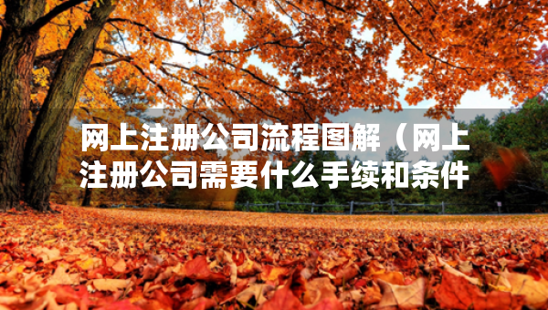 網(wǎng)上注冊公司流程圖解（網(wǎng)上注冊公司需要什么手續(xù)和條件）
