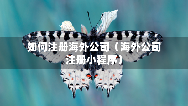 如何注冊海外公司（海外公司注冊小程序）