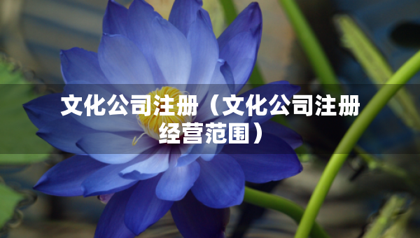 文化公司注冊(cè)（文化公司注冊(cè)經(jīng)營(yíng)范圍）