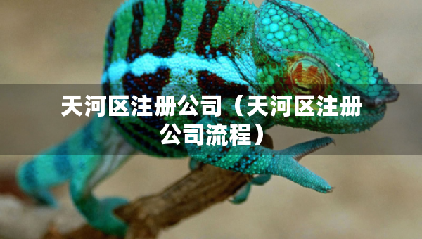 天河區(qū)注冊(cè)公司（天河區(qū)注冊(cè)公司流程）