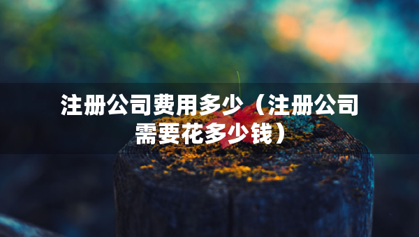 注冊(cè)公司費(fèi)用多少（注冊(cè)公司需要花多少錢）