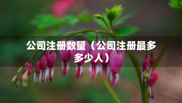 公司注冊(cè)數(shù)量（公司注冊(cè)最多多少人）