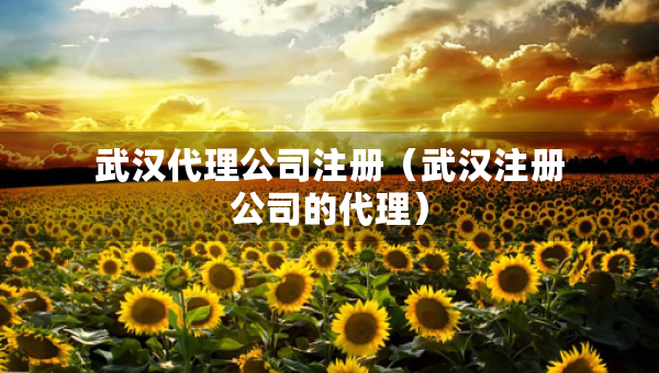 武漢代理公司注冊(cè)（武漢注冊(cè)公司的代理）