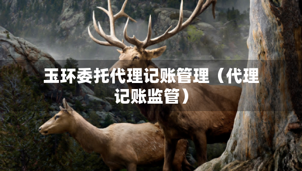 玉環(huán)委托代理記賬管理（代理記賬監(jiān)管）