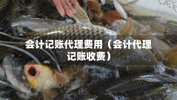 會計記賬代理費用（會計代理記賬收費）