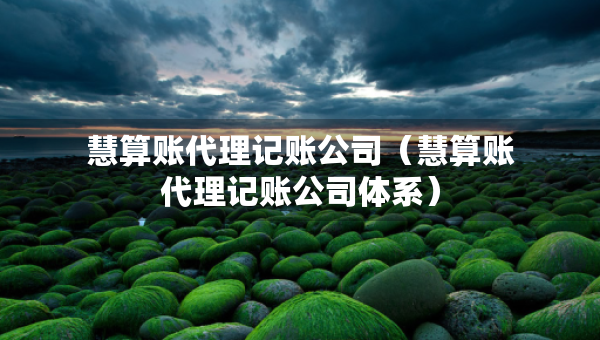慧算賬代理記賬公司（慧算賬代理記賬公司體系）