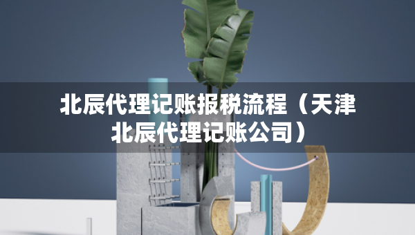 北辰代理記賬報稅流程（天津北辰代理記賬公司）