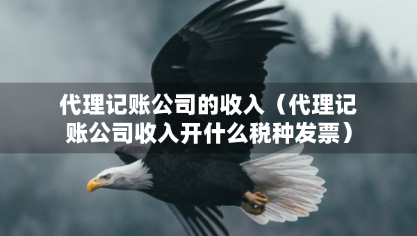 代理記賬公司的收入（代理記賬公司收入開什么稅種發(fā)票）