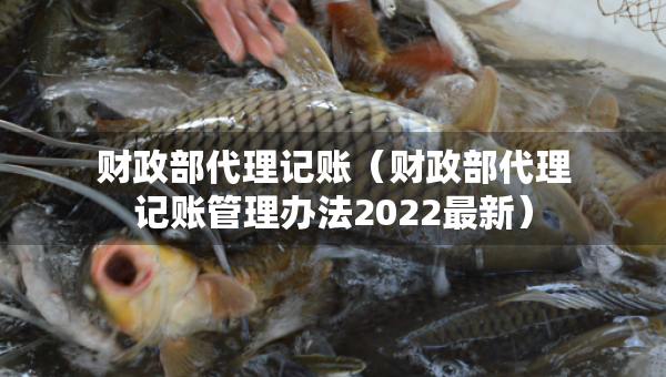 財(cái)政部代理記賬（財(cái)政部代理記賬管理辦法2022最新）