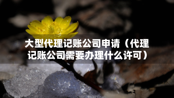 大型代理記賬公司申請（代理記賬公司需要辦理什么許可）