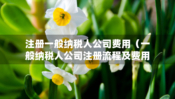注冊(cè)一般納稅人公司費(fèi)用（一般納稅人公司注冊(cè)流程及費(fèi)用）