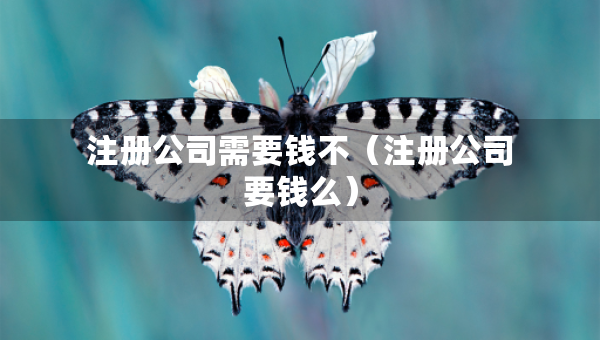 注冊(cè)公司需要錢不（注冊(cè)公司要錢么）