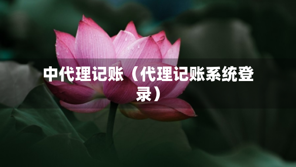 中代理記賬（代理記賬系統(tǒng)登錄）