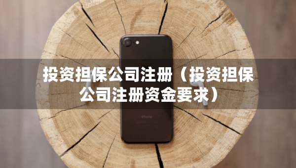 投資擔(dān)保公司注冊(cè)（投資擔(dān)保公司注冊(cè)資金要求）