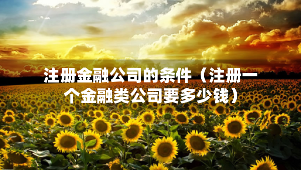注冊金融公司的條件（注冊一個金融類公司要多少錢）
