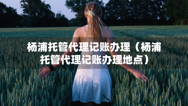 楊浦托管代理記賬辦理（楊浦托管代理記賬辦理地點(diǎn)）