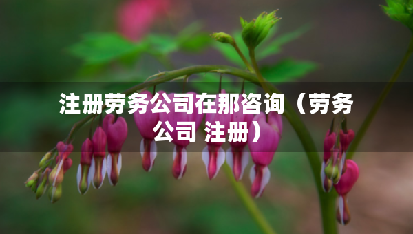 注冊勞務(wù)公司在那咨詢（勞務(wù)公司 注冊）