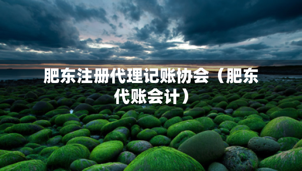 肥東注冊(cè)代理記賬協(xié)會(huì)（肥東代賬會(huì)計(jì)）