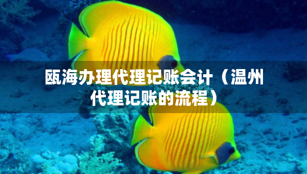 甌海辦理代理記賬會計（溫州代理記賬的流程）