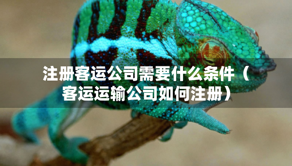 注冊(cè)客運(yùn)公司需要什么條件（客運(yùn)運(yùn)輸公司如何注冊(cè)）