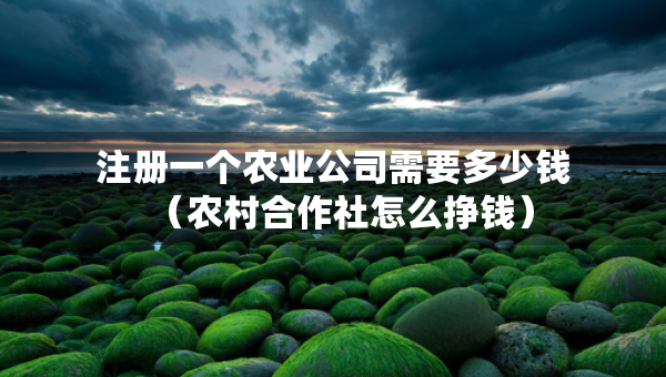 注冊(cè)一個(gè)農(nóng)業(yè)公司需要多少錢（農(nóng)村合作社怎么掙錢）